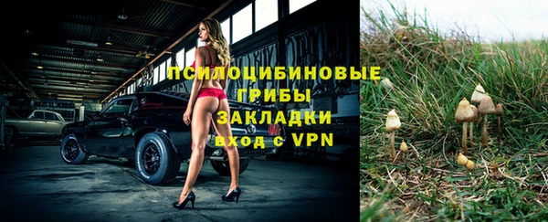 apvp Козловка