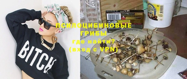 твердый Корсаков