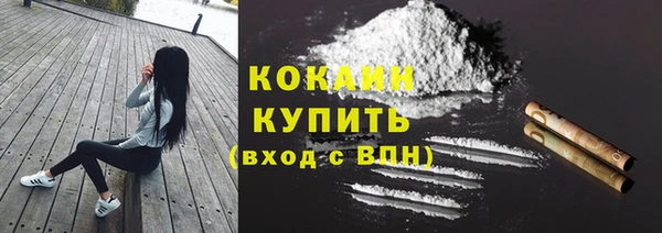 твердый Корсаков